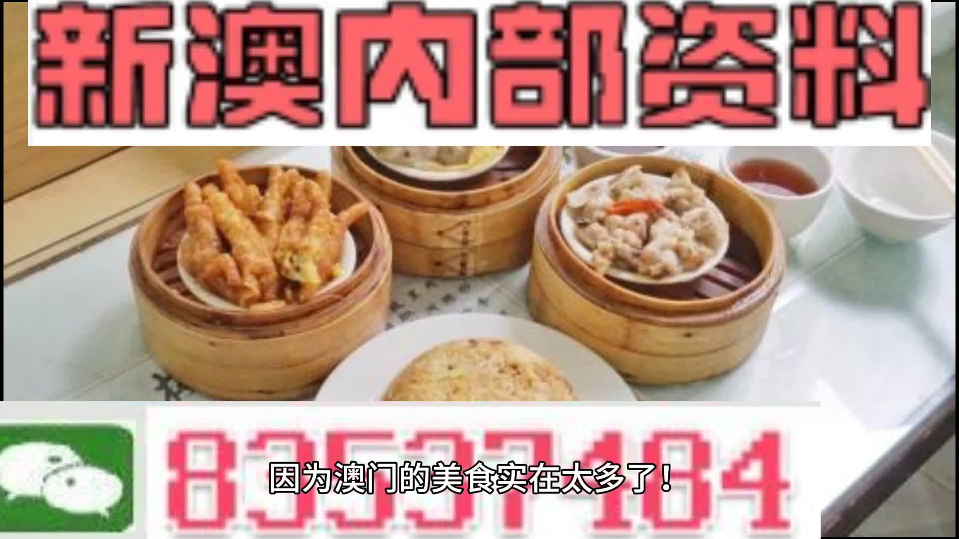 新澳门资料大全正版资料2024年免费下载,家野中特,决策资料解释定义_6DM44.409