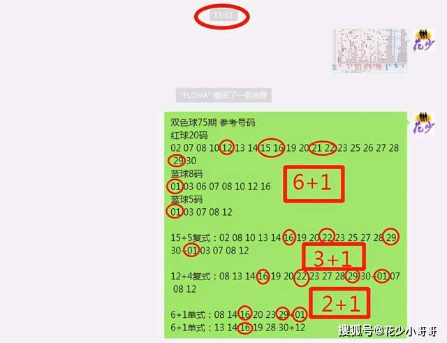 白小姐今晚特马期期准六,收益解析说明_RX版31.98