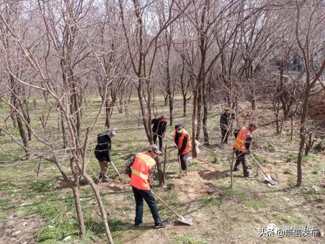 平房区人社局新项目重塑社区价值，助力区域发展提速