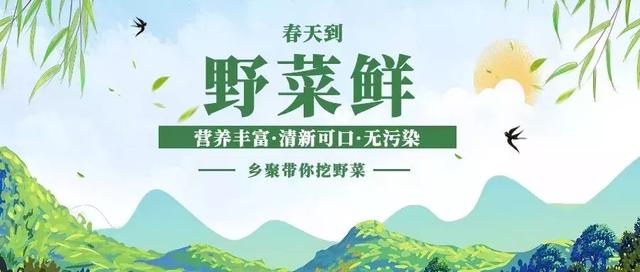 野韭川村委会最新招聘启事概览