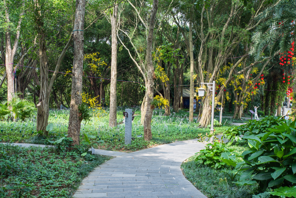 景德镇市南宁日报社人事任命揭晓，塑造媒体新力量的未来篇章