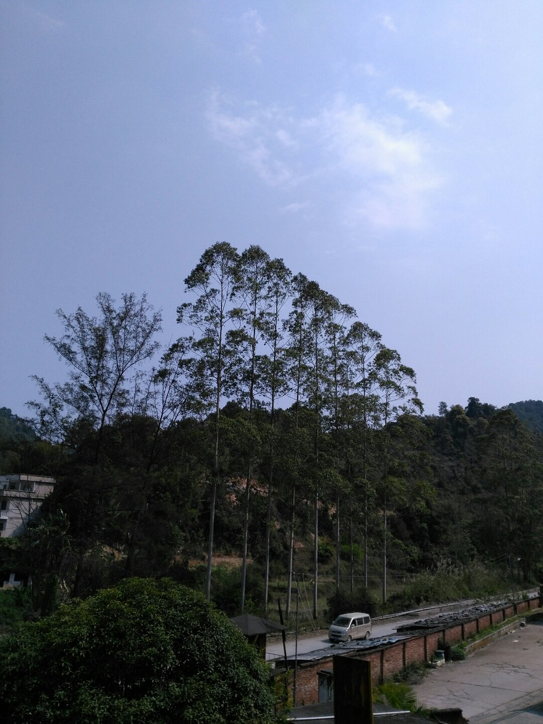 龙圩镇天气预报更新通知