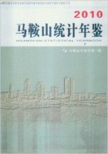 马鞍山市统计局最新招聘启事概览