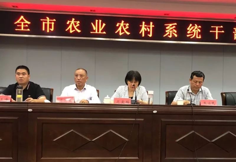 东阳市农业农村局人事任命揭晓，塑造未来农业新篇章