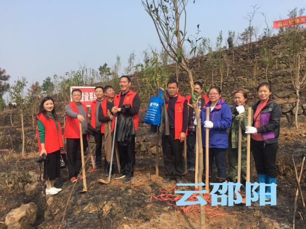 邵东县住房和城乡建设局项目最新进展报告概览