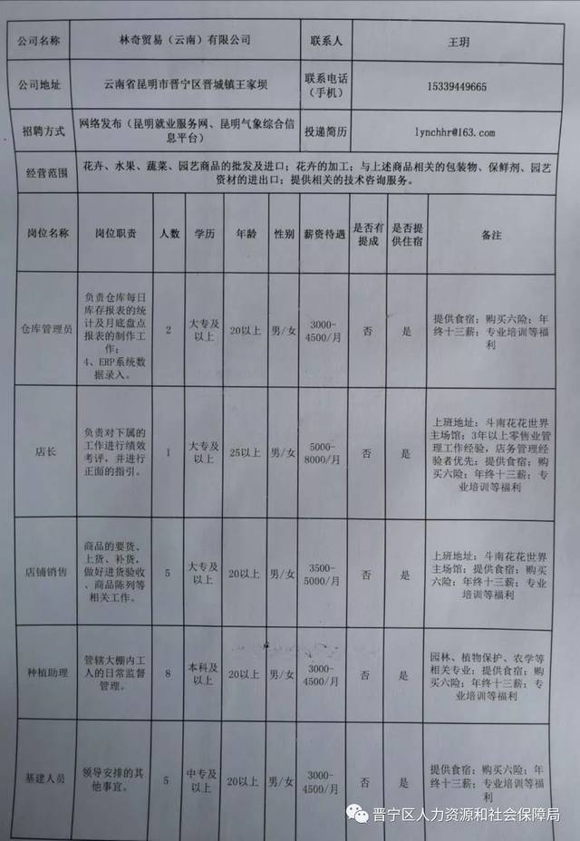 金川区科技局最新招聘信息概览