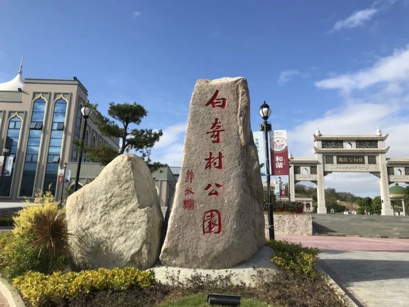 百崎回族乡新项目，引领地方发展的强大动力源泉