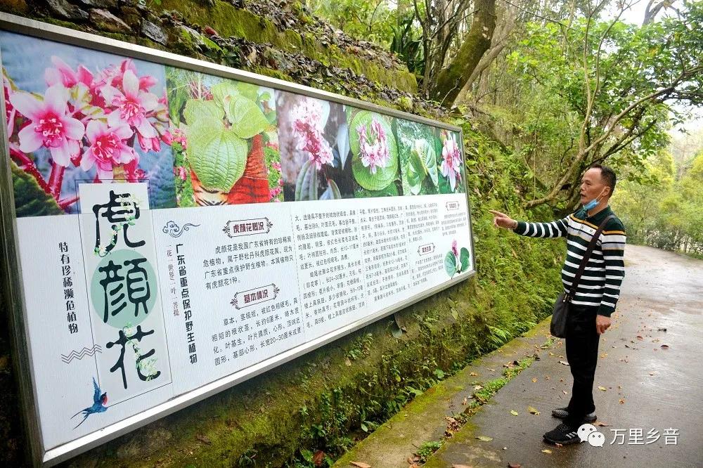 花滩林场天气预报更新通知