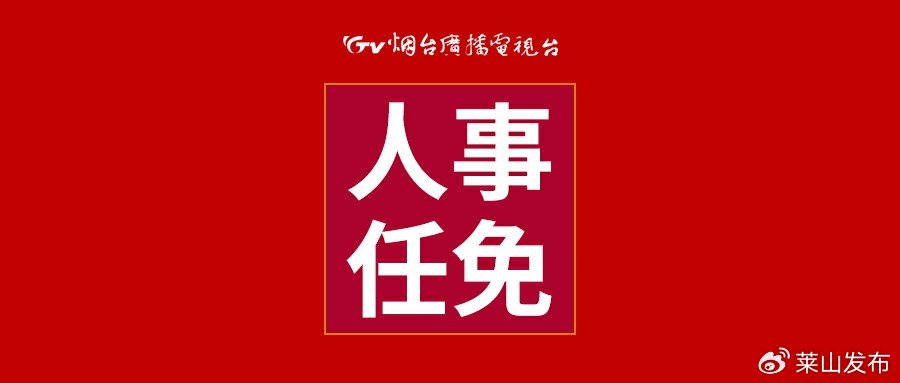 烟台市人事任免最新动态