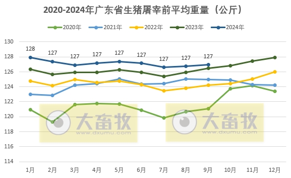 广东今日生猪价格最新行情分析