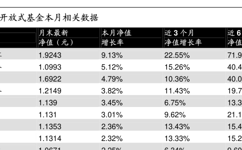 519066基金今日最新净值详细解读及净值查询