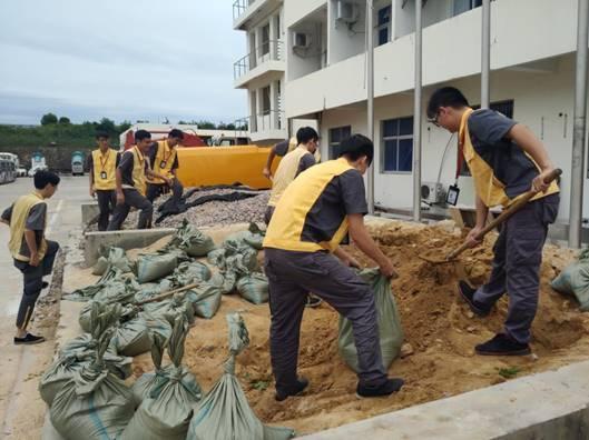 台风影响三亚最新动态，全面应对与实时更新资讯