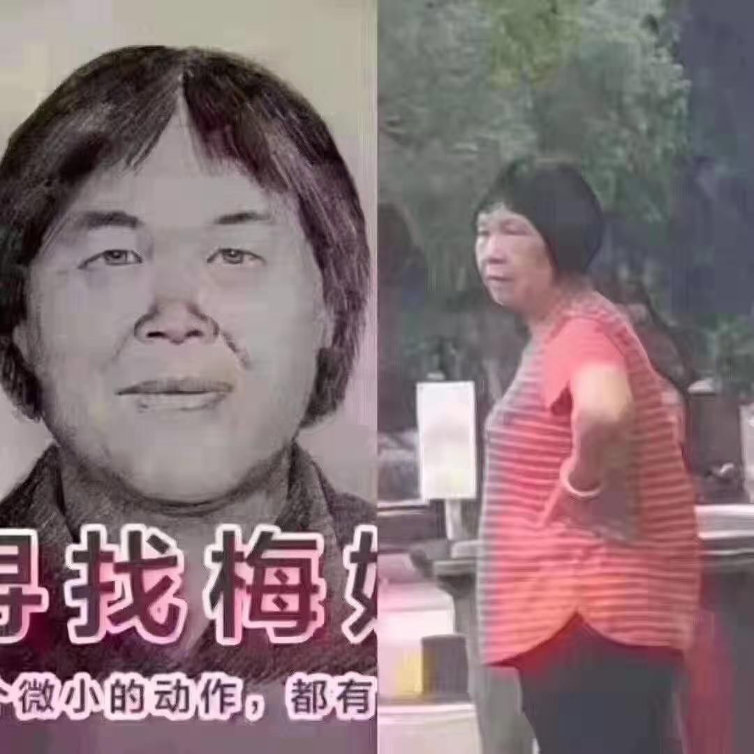 探索梅子世界，最新文章带你领略梅子魅力