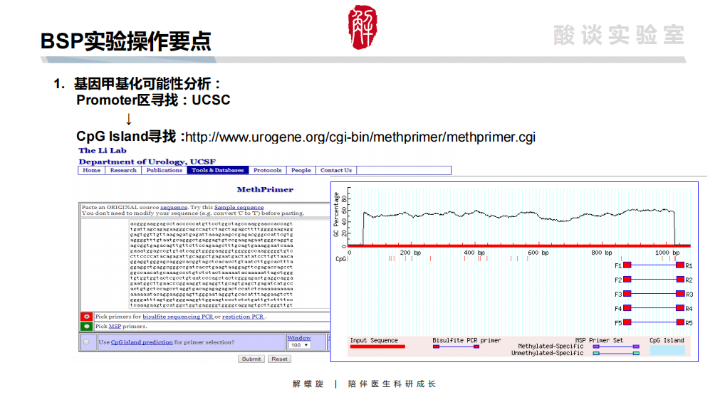 2024新澳资料大全最新版本亮点,实地设计评估数据_SHD33.95