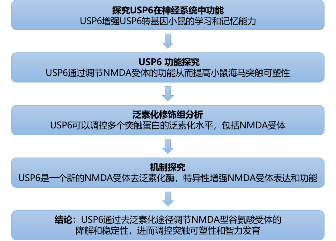 2024新奥资料免费精准071,精细化评估解析_The12.385