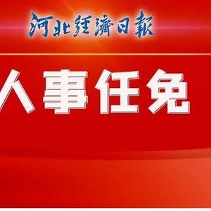 河北省最新人事任免动态概览