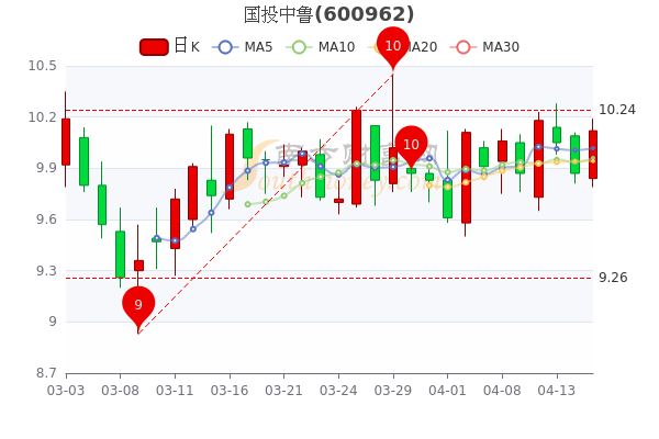 国投中鲁最新动态全面解析