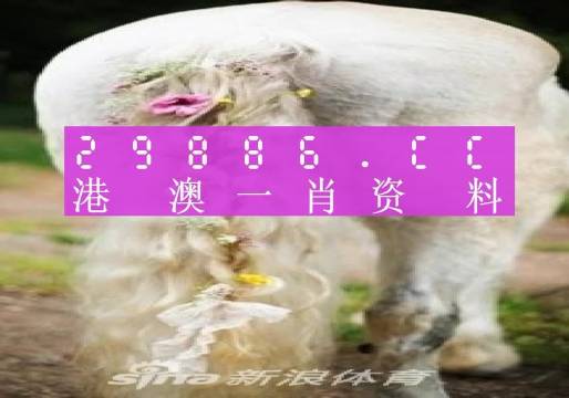 澳门必中一肖一码四不像,实时解析说明_tShop36.881