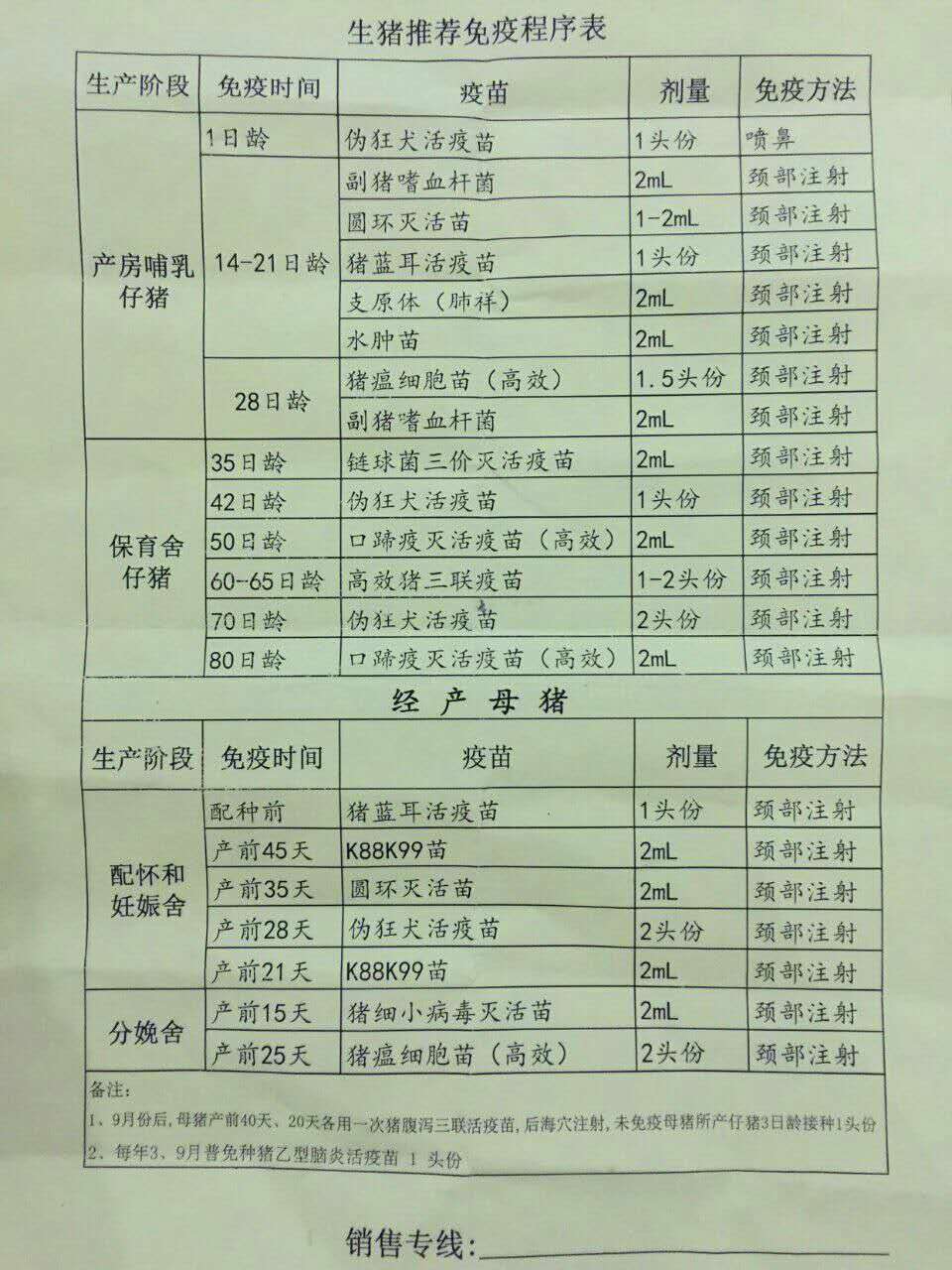 猪最新免疫程序表及其应用指南