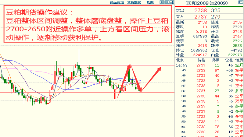 2024澳门特马今晚开奖240期,数据执行驱动决策_专家版40.798