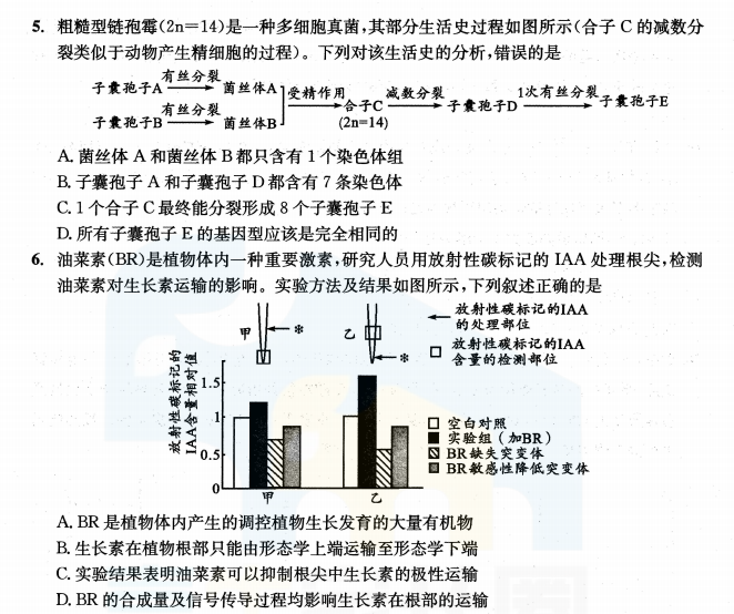 2024新澳最精准资料大全,高效解析说明_Premium98.435