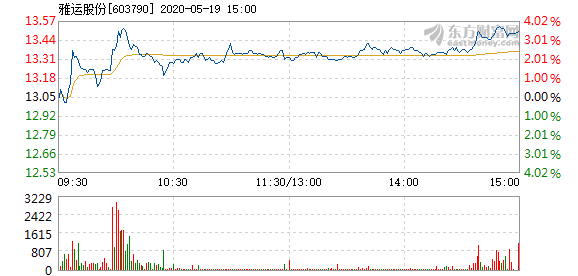 雅运股份最新消息全面解读与分析