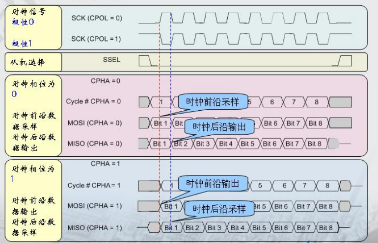 2024年11月9日 第55页