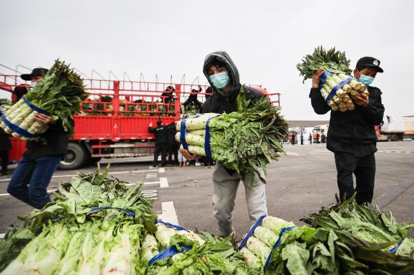 江苏洋葱价格最新行情解析