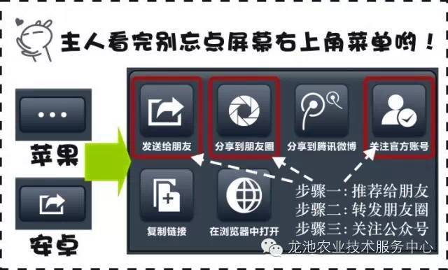 新奥资料免费精准,重要性分析方法_SHD17.986