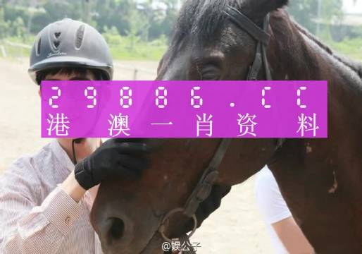 澳门一肖一码一特一中云骑士,定性评估解析_L版11.499