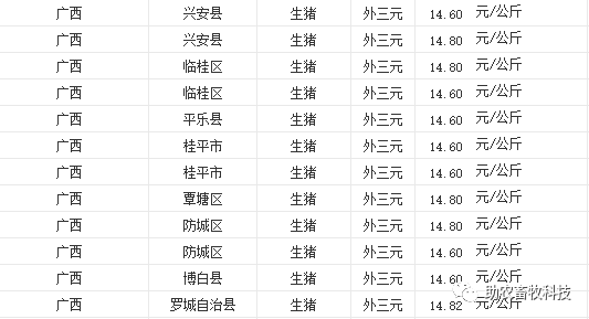 广西生猪价格最新动态，今日市场分析、趋势预测与价格解析