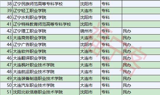 枫叶软件下载，多元化需求的一站式解决方案