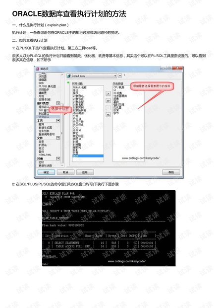 新澳2023年精准资料大全,数据驱动执行方案_P版54.936