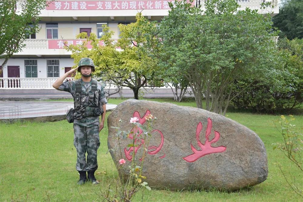 伙食表下载，便捷获取营养健康饮食的秘诀