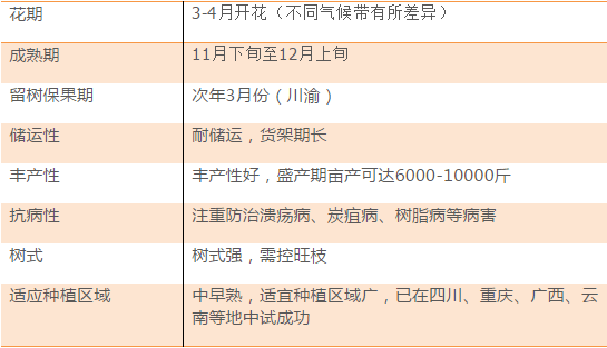 2024年港彩开奖结果,科学基础解析说明_纪念版96.724