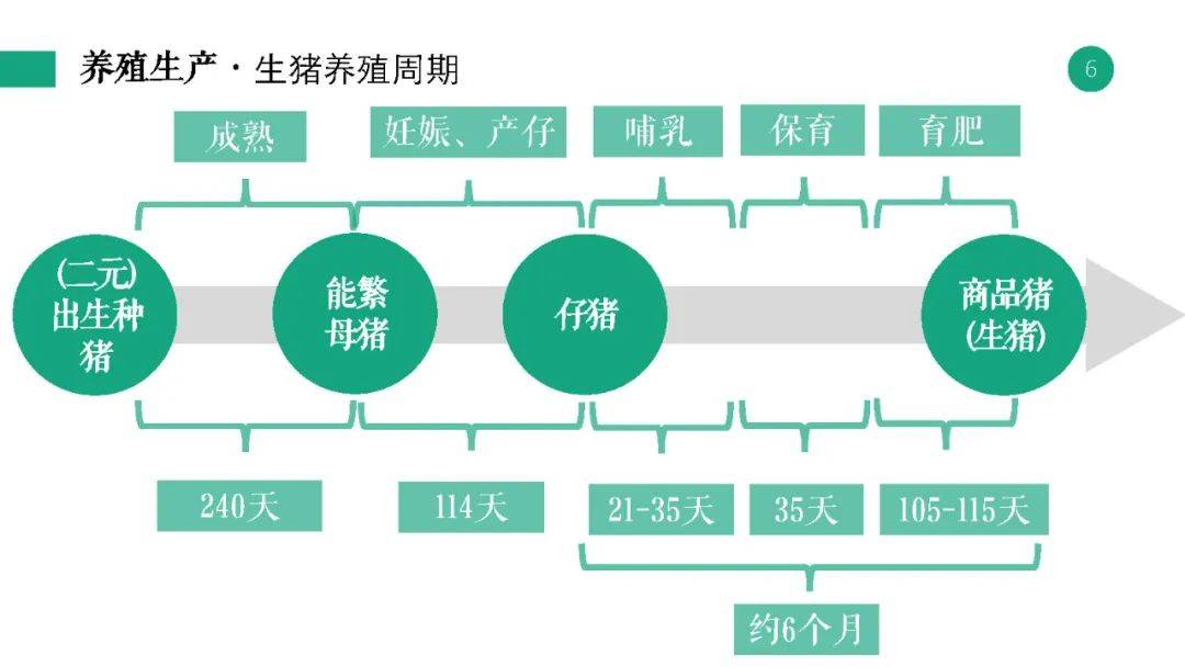 新奥2024年免费资料大全最新优势,决策信息解析说明_iShop50.150