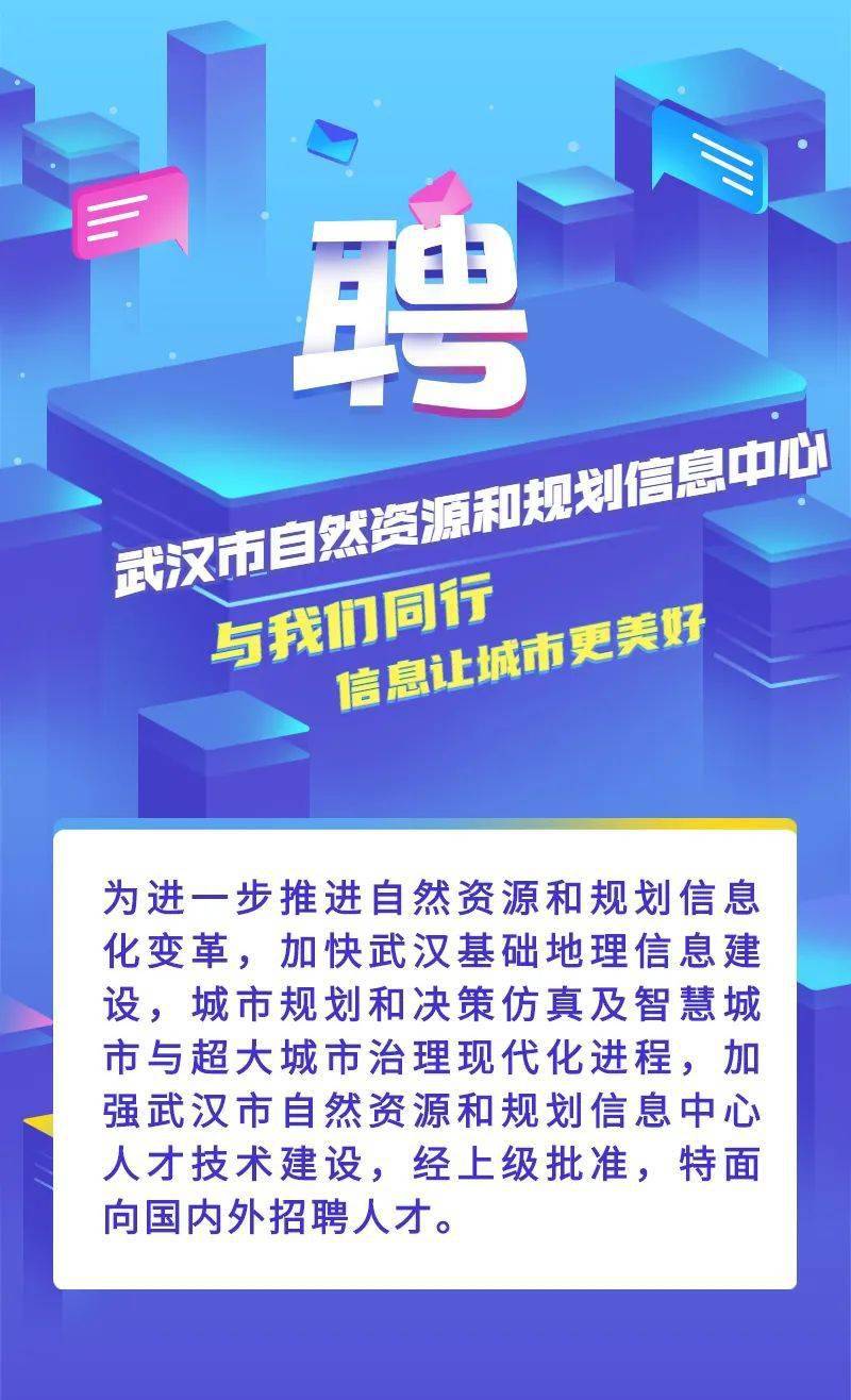 新澳门精准资料大全管家婆料,长期性计划定义分析_精装版30.492