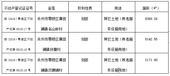 永州最新拍卖公告全面解析