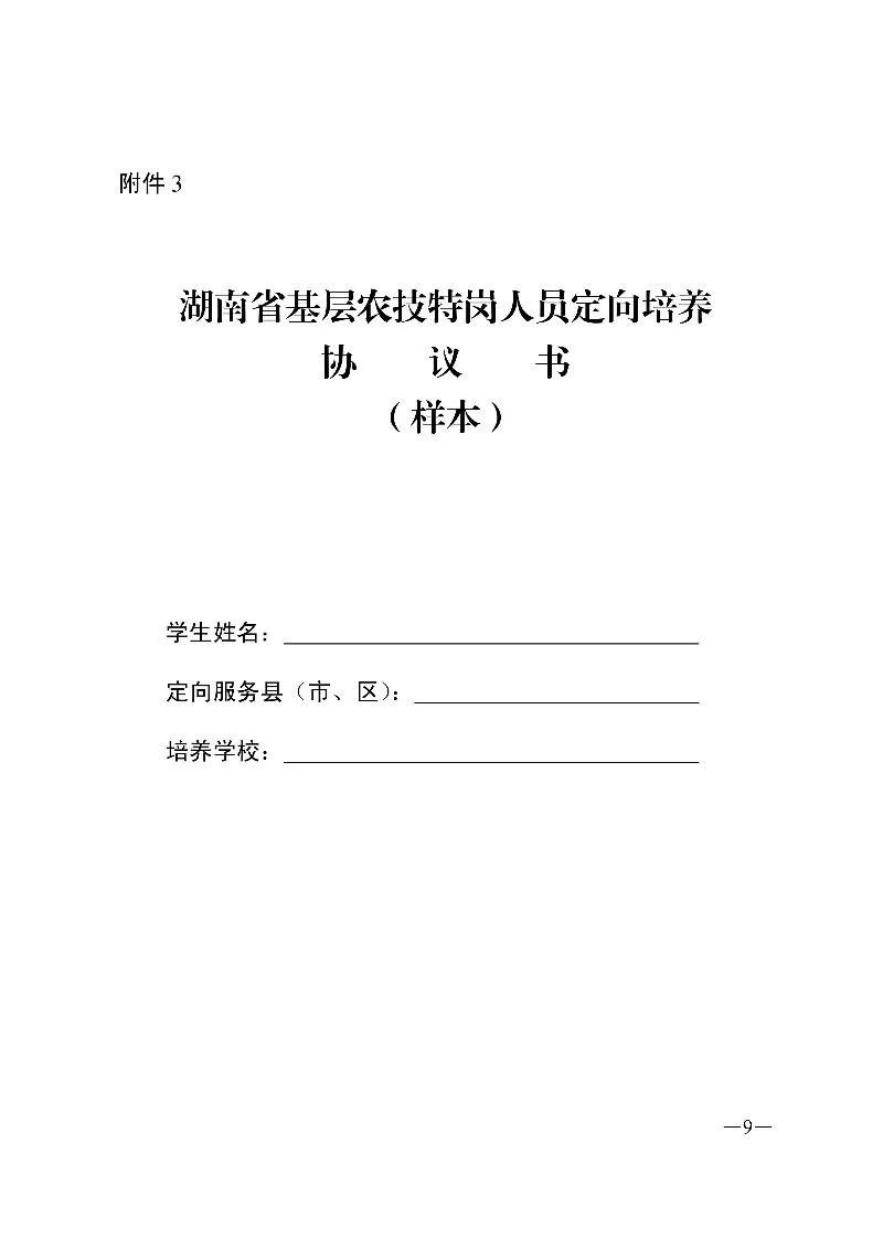 基层特定岗位最新文件解读与实施策略详解