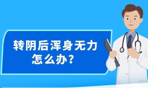 新澳精准资料免费提供网站,全面理解执行计划_领航款68.676